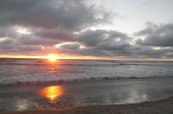 Del Mar Dog Beach Photograph by Brionna Robbins - Fine Art America