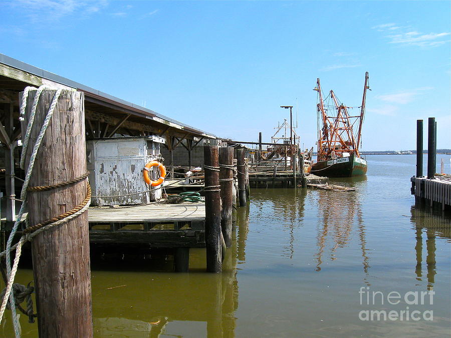 Delaware Bay Oyster Boats  Photograph by Nancy Patterson
