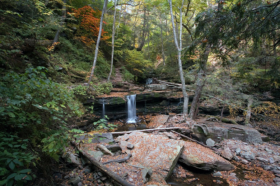 Delaware Falls On A Warm October Day Photograph by Gene Walls