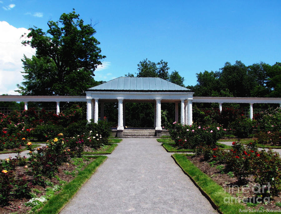 Delaware Park Rose Garden and Pergola Buffalo NY Oil Painting Effect Photograph by Rose Santuci-Sofranko