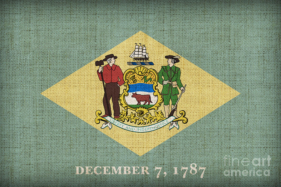 Flag Painting - Delaware State Flag by Pixel Chimp