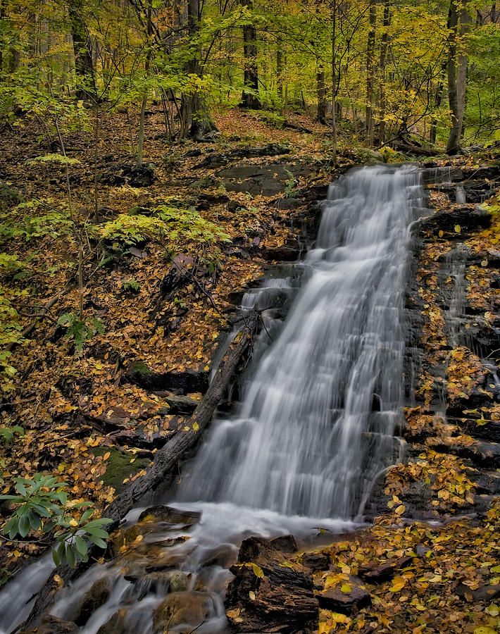 Fall Photograph - Delaware Water Gap In The Fall by Susan Candelario