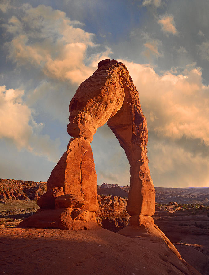 Delicate Arch In Arches National Park Photograph by Tim Fitzharris