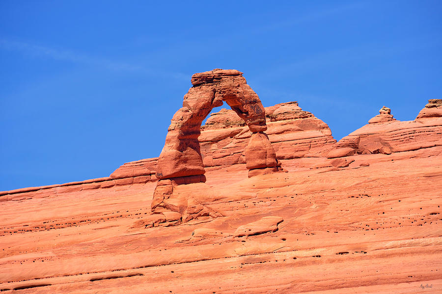 Delicate Arch Upper Viewpoint Photograph by Greg Norrell