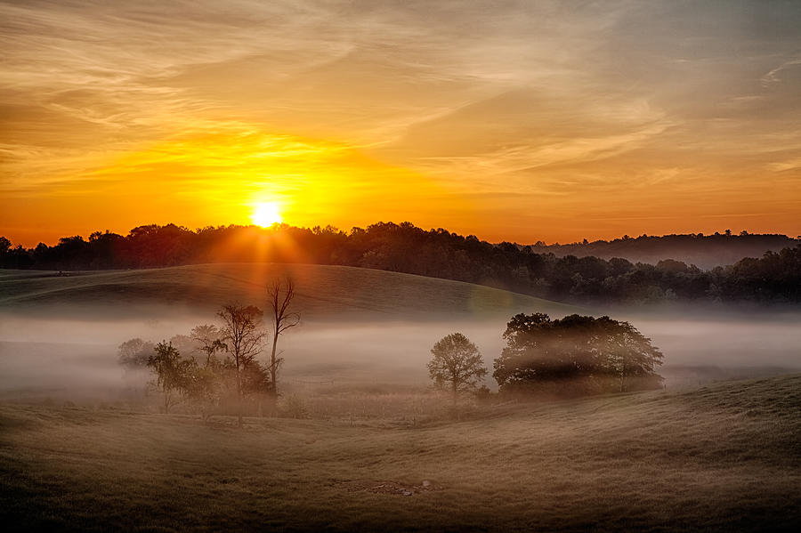 Delicate Dawn Photograph by Dan Carmichael