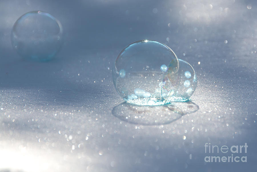 Delicate Frozen Bubbles Photograph by Cheryl Baxter