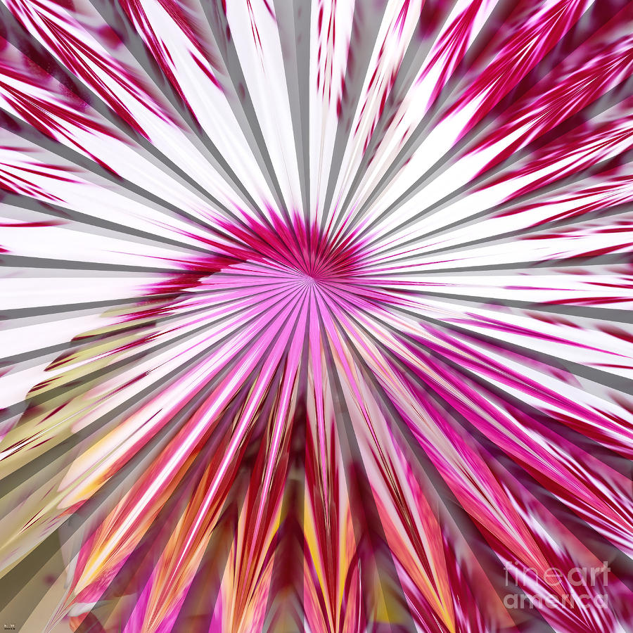 Still Life Digital Art - Delicate Orchid Blossom - Abstract by Liane Wright