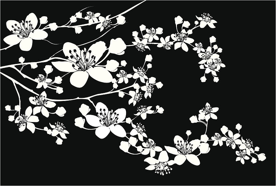 Delicate Silhouette of blooming branch Drawing by Ollustrator