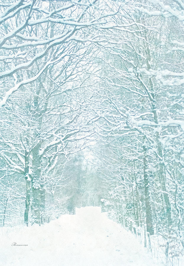 Tree Digital Art - Delicate Winter Romance by Georgiana Romanovna