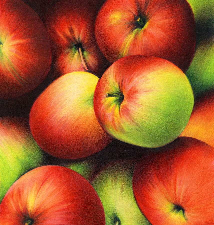 Delicious Apples Drawing by Natasha Denger