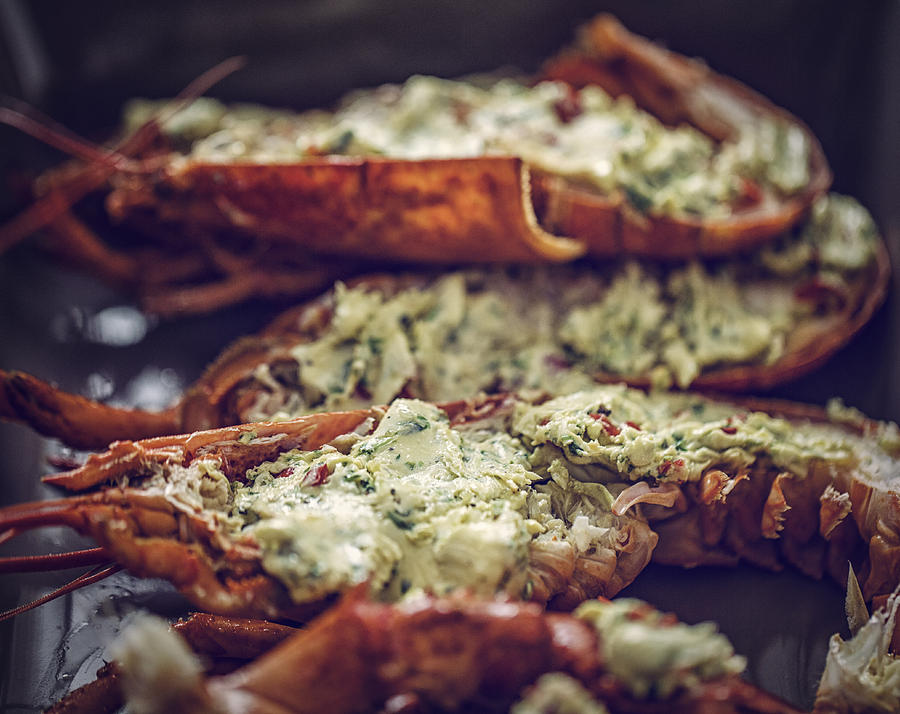 Delicious Fresh Cooked and Grilled Lobster Photograph by GMVozd