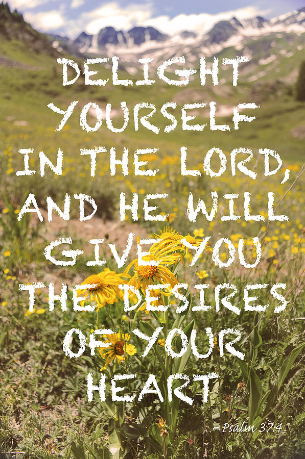 Delight Yourself in the Lord Photograph by Aaron Spong