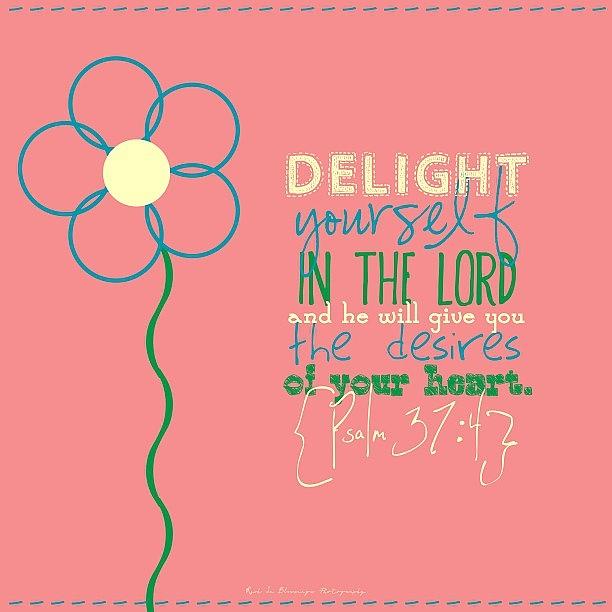 Typography Photograph - delight Yourself In The Lord, And He by Traci Beeson