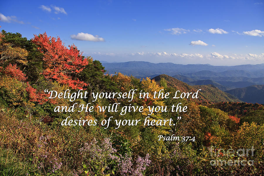 Delight Yourself in the Lord Photograph by Jill Lang