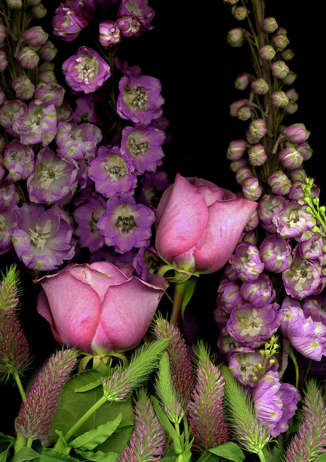 Flower Photograph - Delphinium And Roses On Black Background by Anna Miller