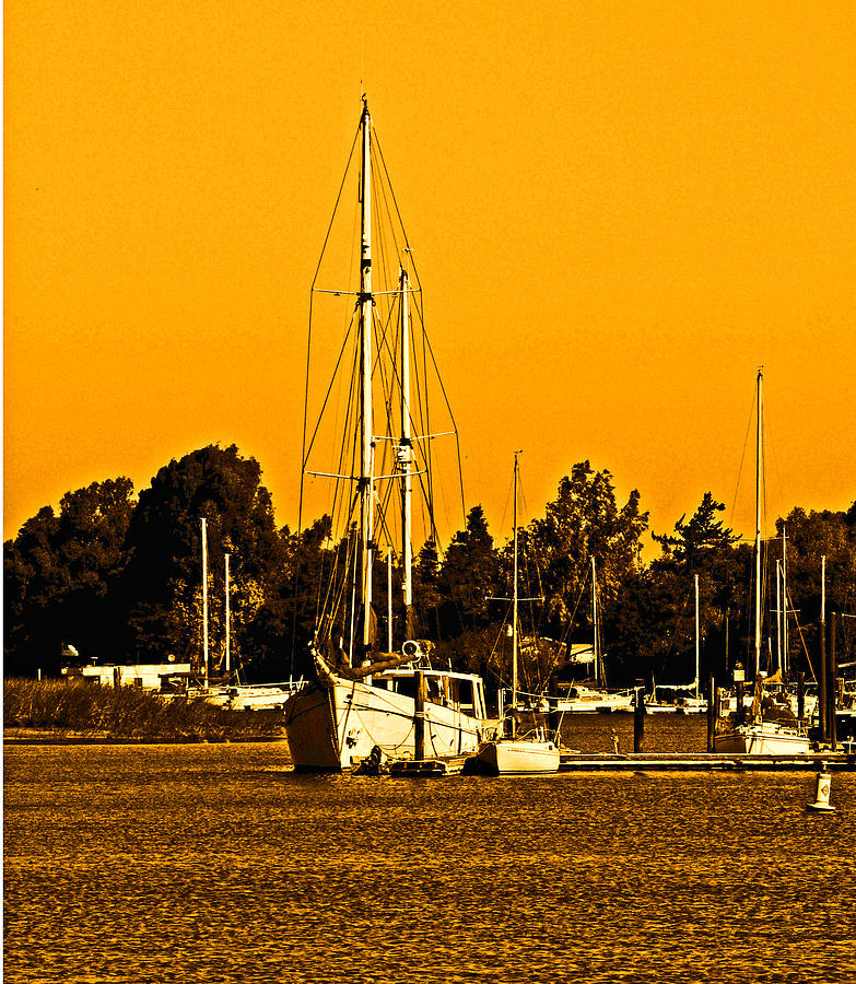 Delta Loop Boat Harbor Photograph by Joseph Coulombe
