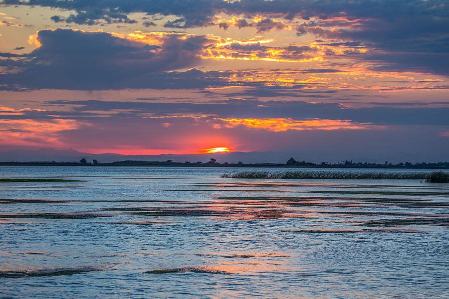Delta Sunrise Photograph by Marc Crumpler