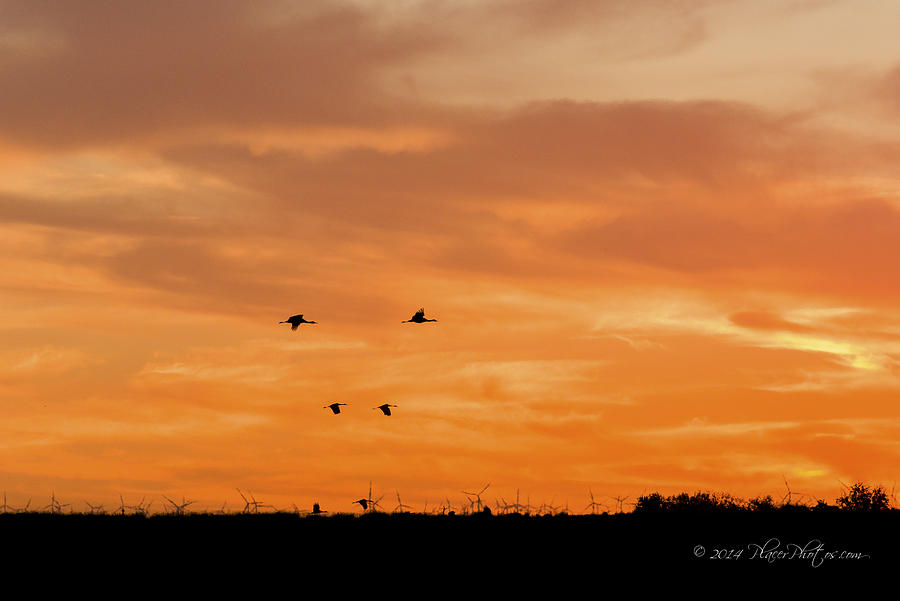 Delta Sunset Photograph by Jim Thompson
