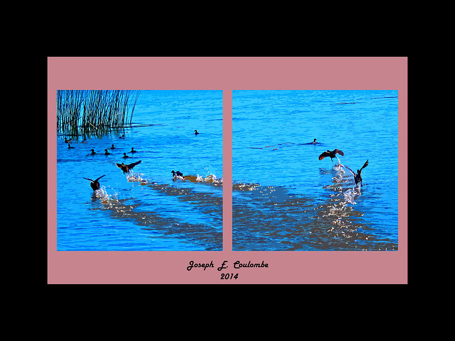 Delta Water Birds Digital Art by Joseph Coulombe