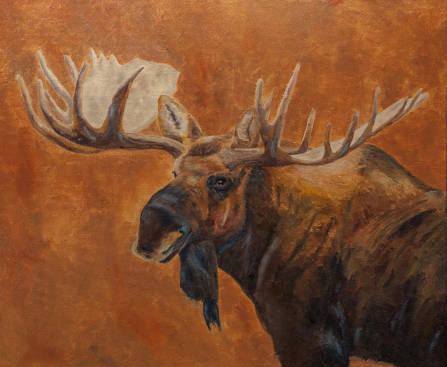 Denali Bull Moose Painting by Dan Twitchell