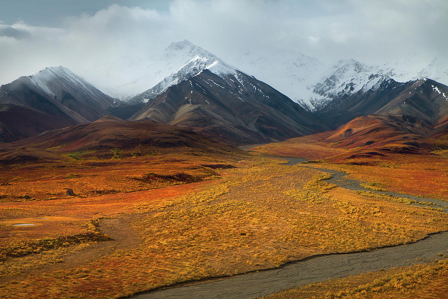 Denali  Mountain Range In Autumn Photograph by Enn Li  Photography