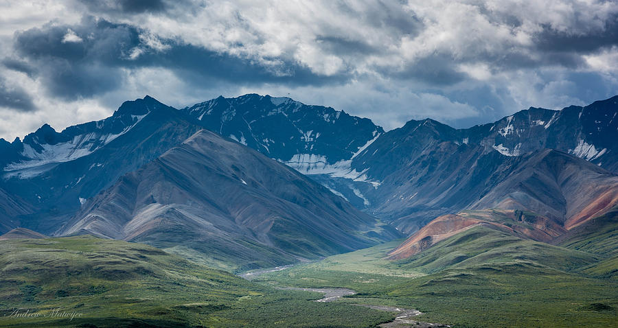 Denali National Park Photograph by Andrew Matwijec