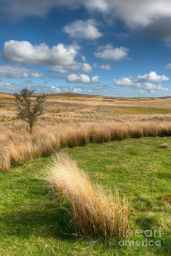 Denbigh Moors Photograph by Adrian Evans