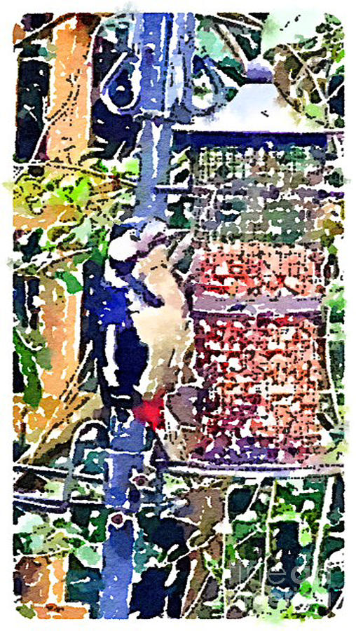 Dendrocopos major Great Spotted Woodpecker Painting by Vix Edwards