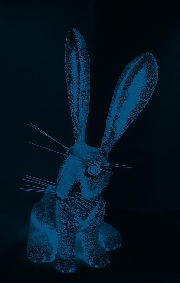 Denim Blue New Mexico Rabbit Photograph by Rob Hans
