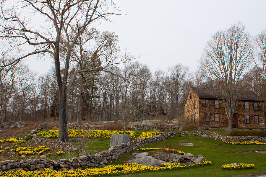 Denison Homestead in Bloom Photograph by Kirkodd Photography Of New England