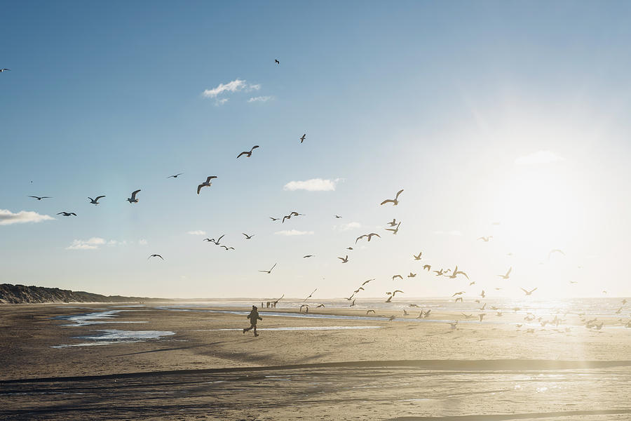 Denmark, Blokhus, boy chasing flock of seagulls on the beach Photograph by Westend61