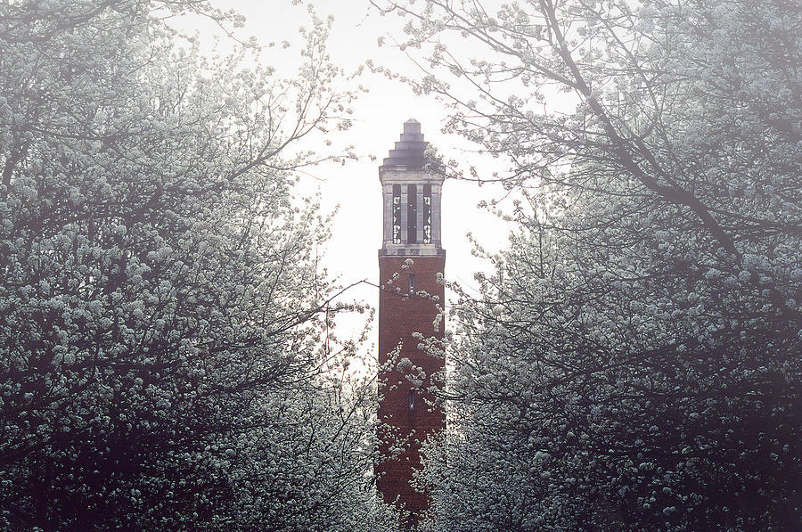 Denny Chimes Foggy Blossoms Photograph by Ben Shields
