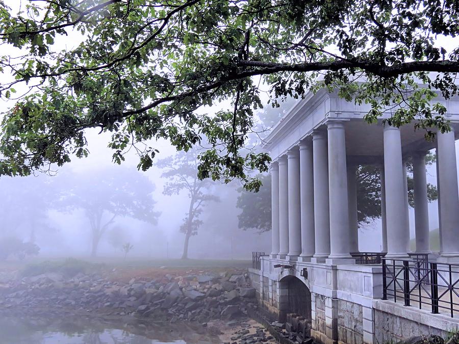 Dense Fog Plymouth Rock Canopy Photograph by Janice Drew