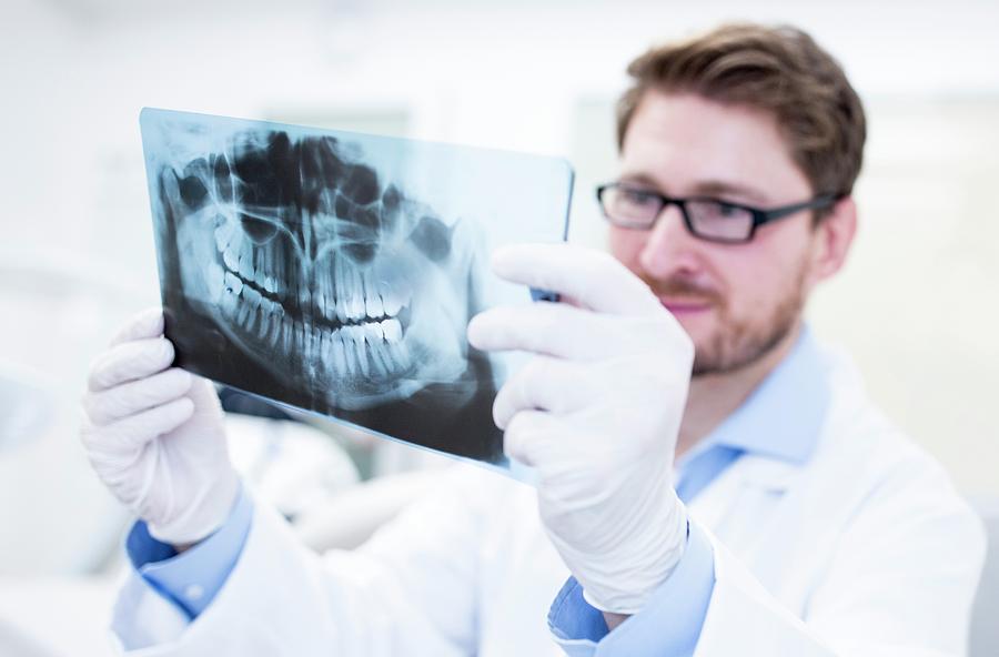 Adults Only Photograph - Dentist Holding X-ray by Science Photo Library