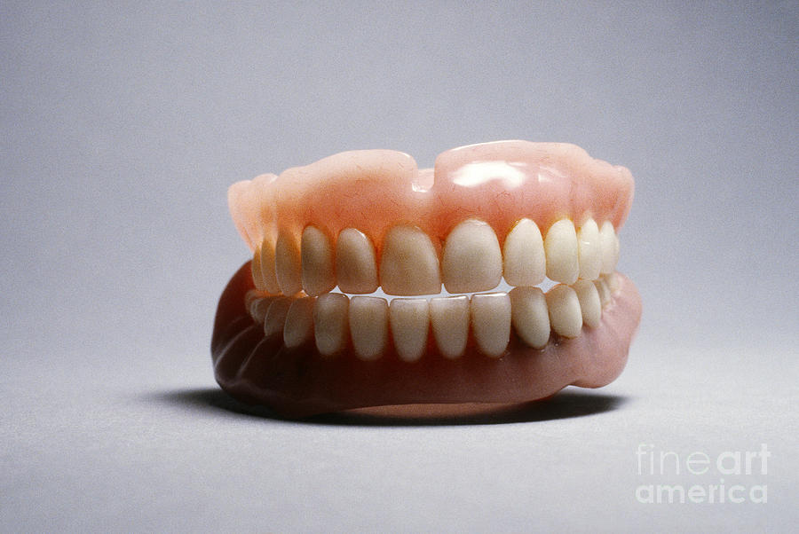 Dentures Photograph by Tierbild Okapia