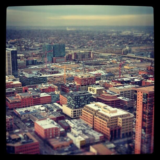 Denver.  Photograph by Larissa Holderness