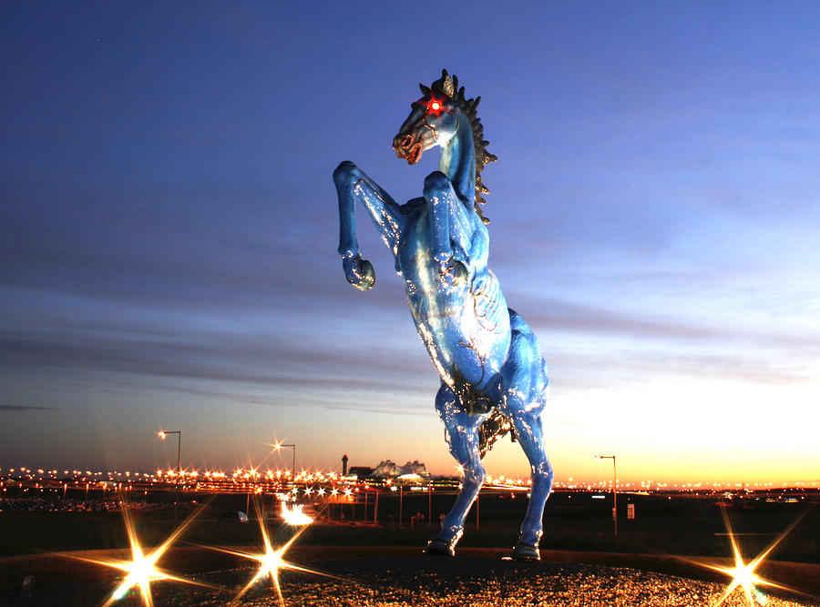 Denver Stallion Photograph by Angus HOOPER III - Fine Art America