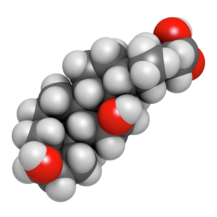 Deoxycholic Acid Bile Acid Molecule Photograph by Molekuul - Pixels