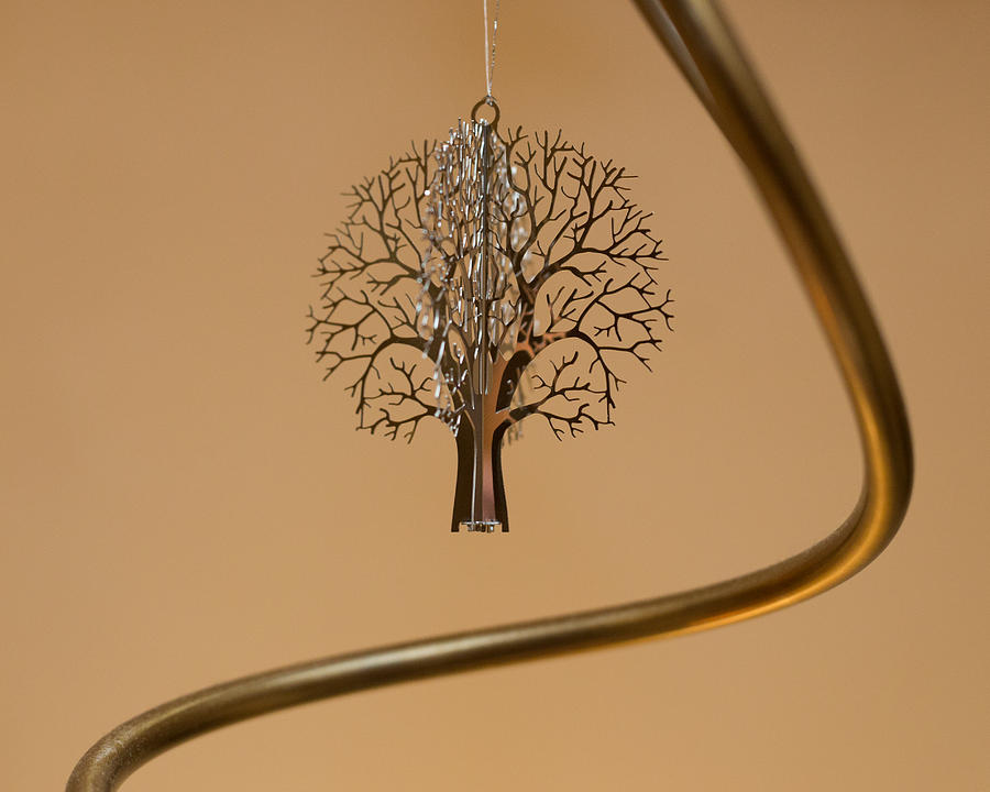 Decoration Photograph - Depth by Paul Indigo Decoration Photograph - Depth by Paul Indigo