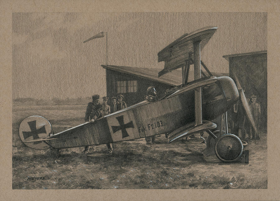 Se5a Drawing - Der Junge Adler by Wade Meyers Se5a Drawing - Der Junge Adler by Wade Meyers