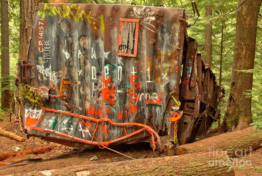 Derailed In The Woods Photograph by Adam Jewell