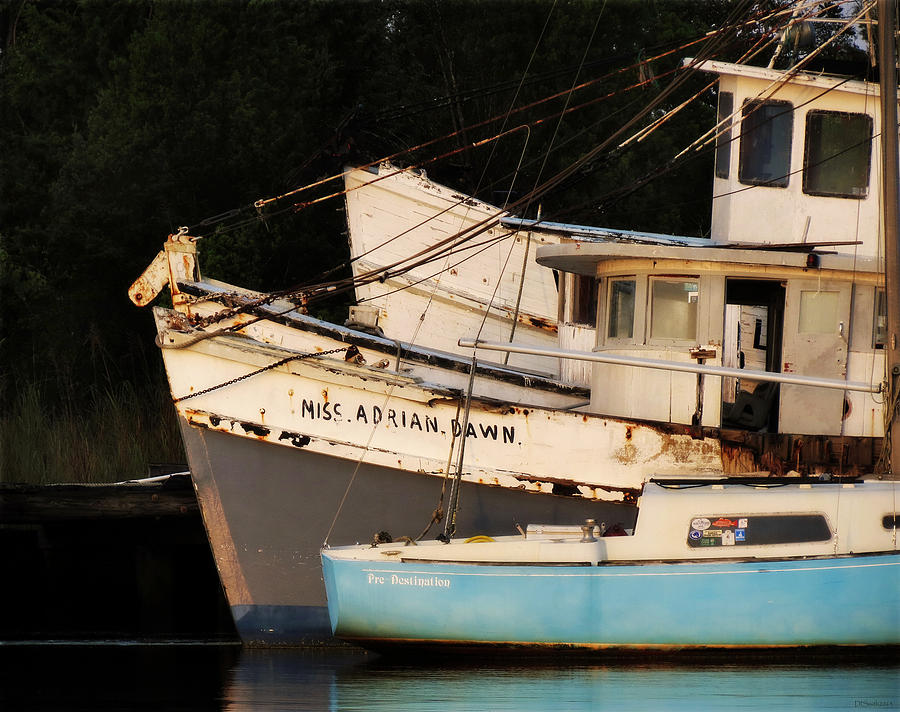 Derelict Boats Photograph by Deborah Smith