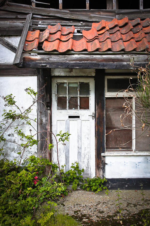 Cottage Photograph - Derelict cottage by Tom Gowanlock