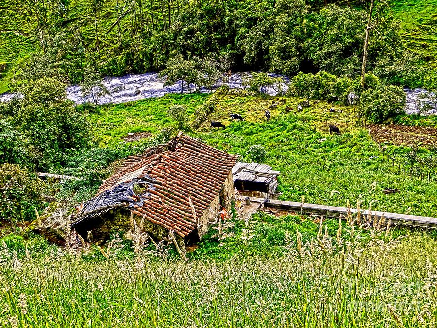 Cow Photograph - Derelict Farm In The Cajas Range Of The Andes by Al Bourassa