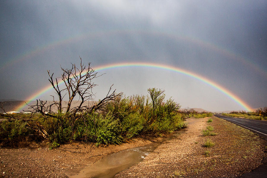 Desert Rainbow Photograph by Ronnie Prcin