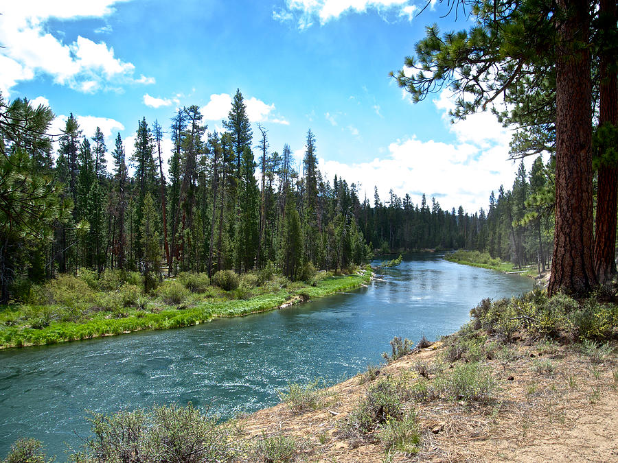 Des Chutes River in Spring in  Des Chutes National Forest, Oregon Photograph by Ruth Hager