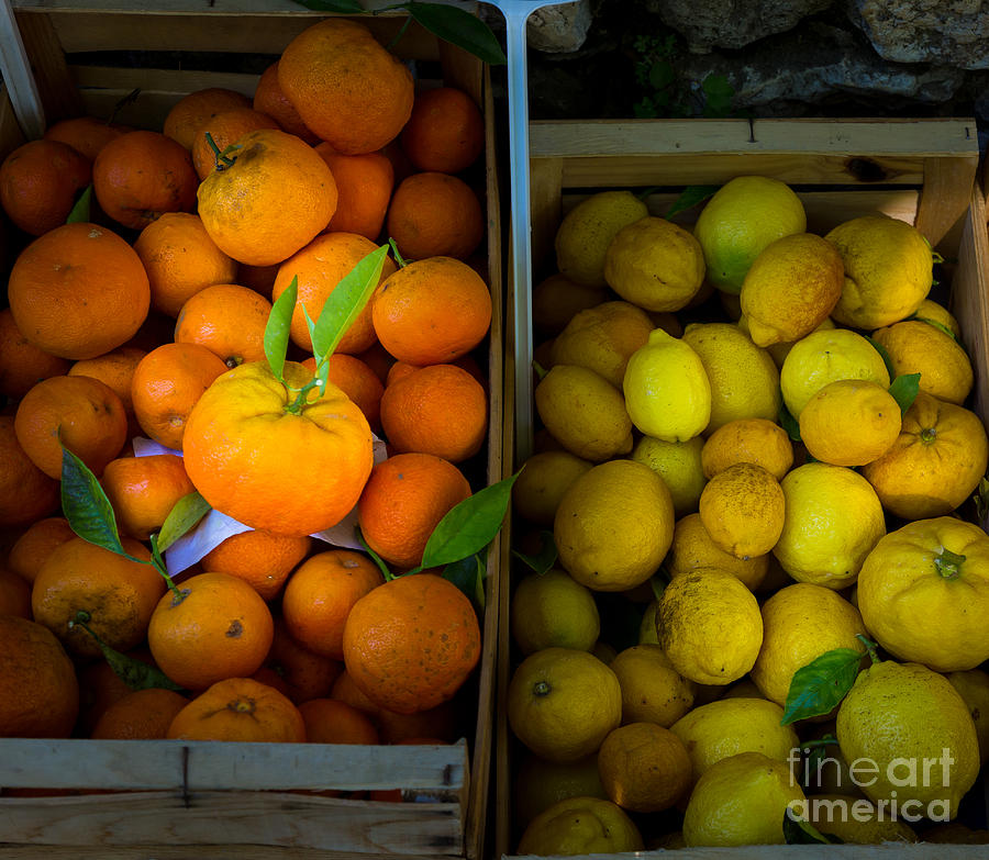 Des oranges et des citrons Photograph by Inge Johnsson
