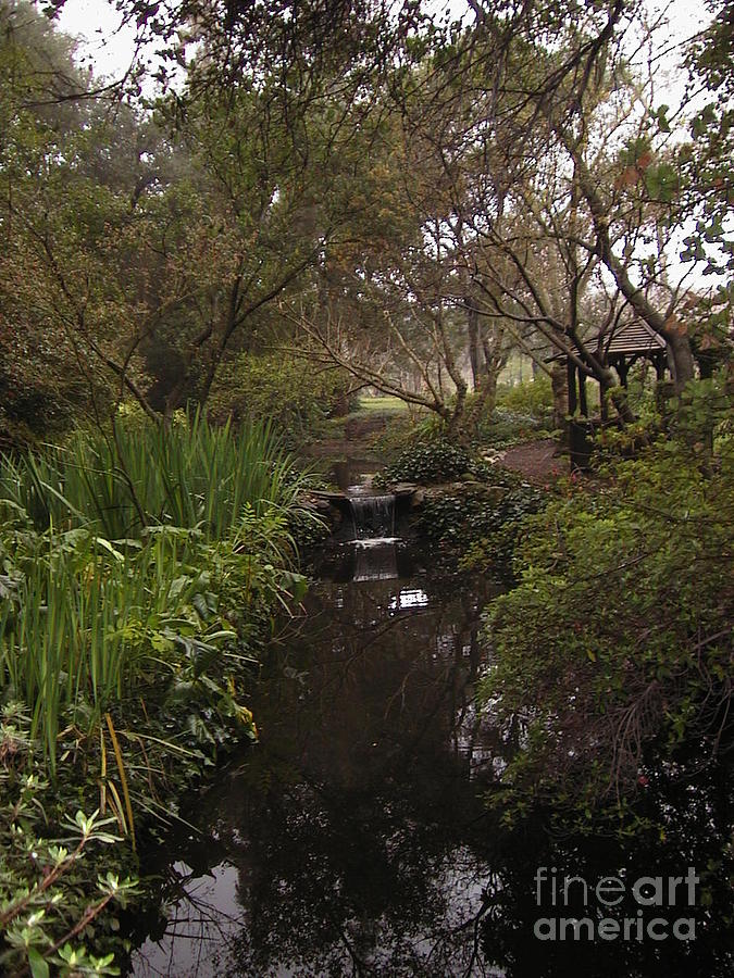 Descanso Gardens 2 Photograph by Laura Hamill