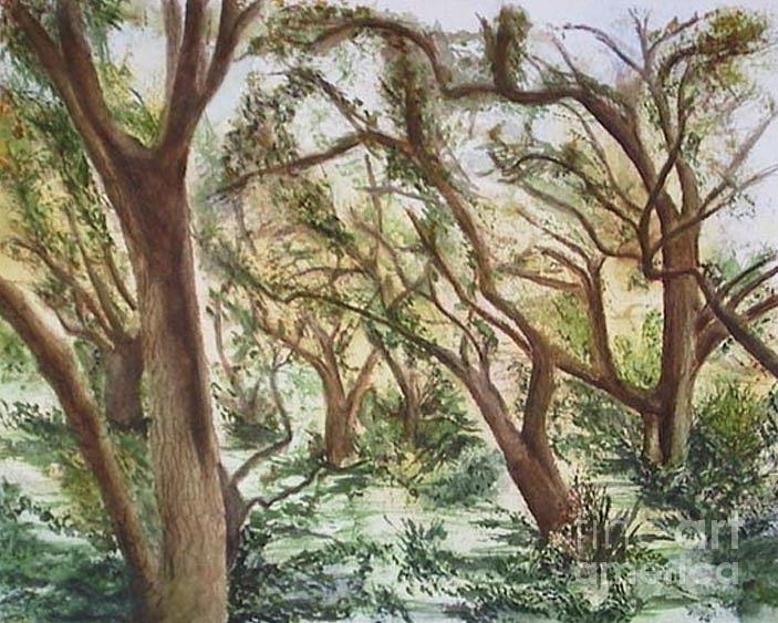 Descanso Oaks Painting by Laura Hamill