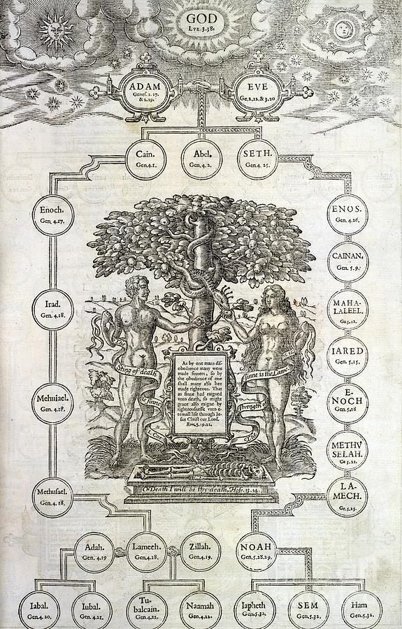 Descendants Of Adam And Eve Artwork Photograph By British Library